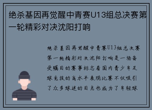 绝杀基因再觉醒中青赛U13组总决赛第一轮精彩对决沈阳打响